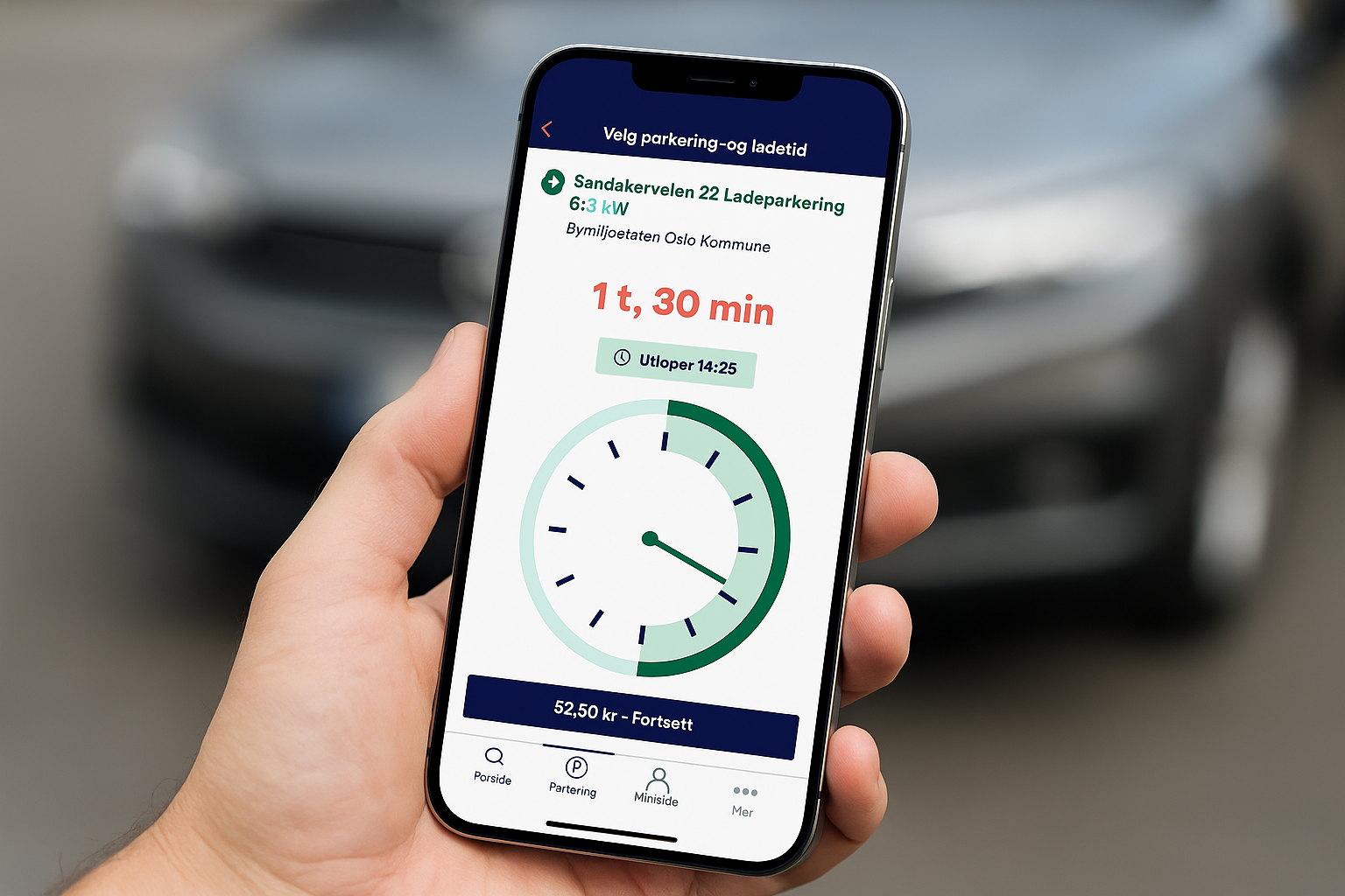Skjermbilder fra prosjektet