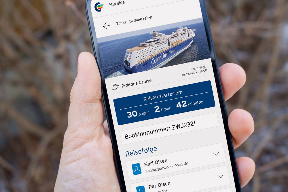 Skjermbilder fra prosjektet